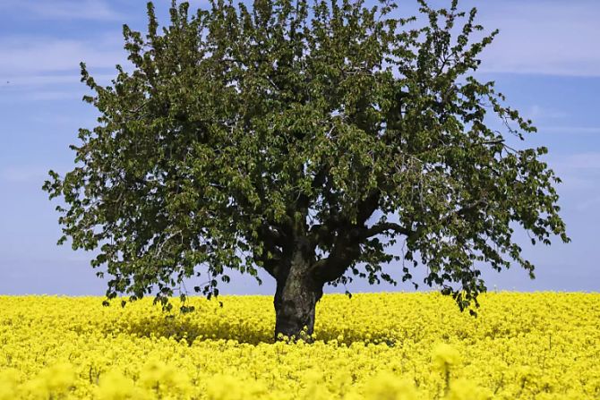 Bio Landwirtschaft
