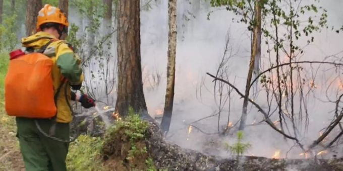 Ausnahmezustand - Waldbrände wüten in Sibirien und im äussersten Osten