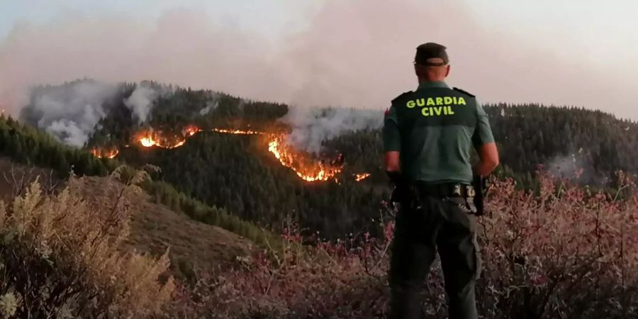 Waldbrand auf Gran Canaria