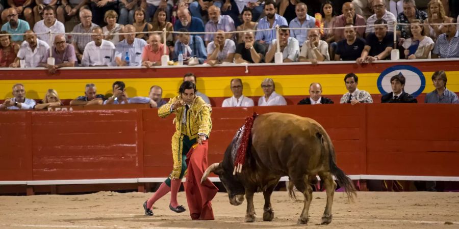 Stierkampf auf Mallorca