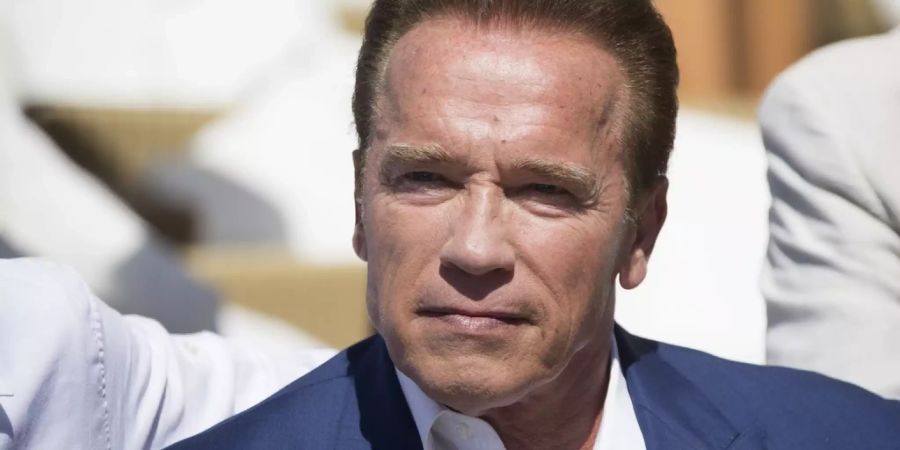 freund arnold schwarzenegger
