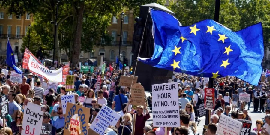 Demonstranten in London am Samstag