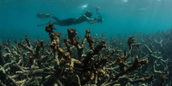 Great Barrier Reef