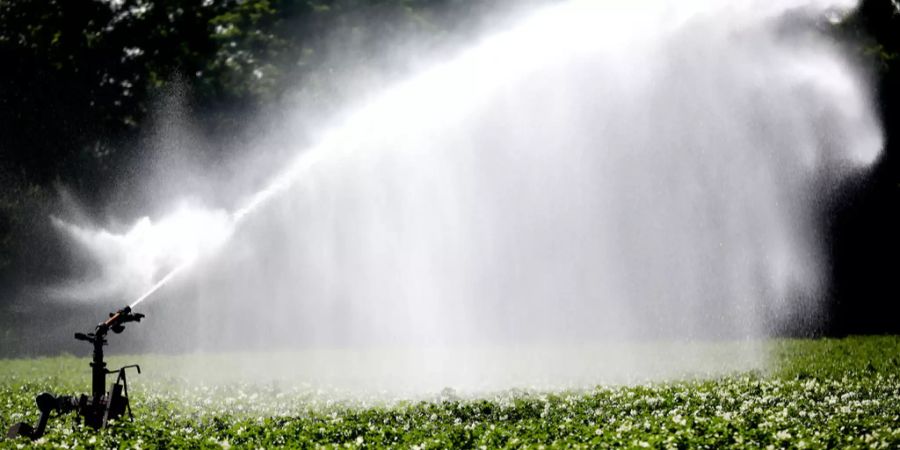 grundwasser