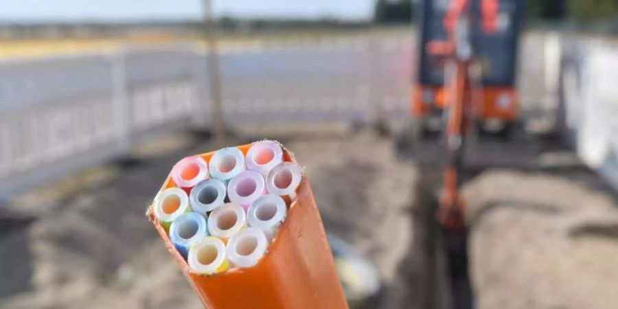 Farbige Leerrohre, in die später Glasfaserkabel verlegt werden, auf einer Baustelle in Brandenburg. Foto: Patrick Pleul