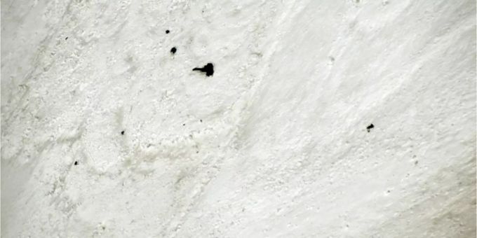 Fundort von Leichen und Ausrüstung Fundort von Leichen und Ausrüstung