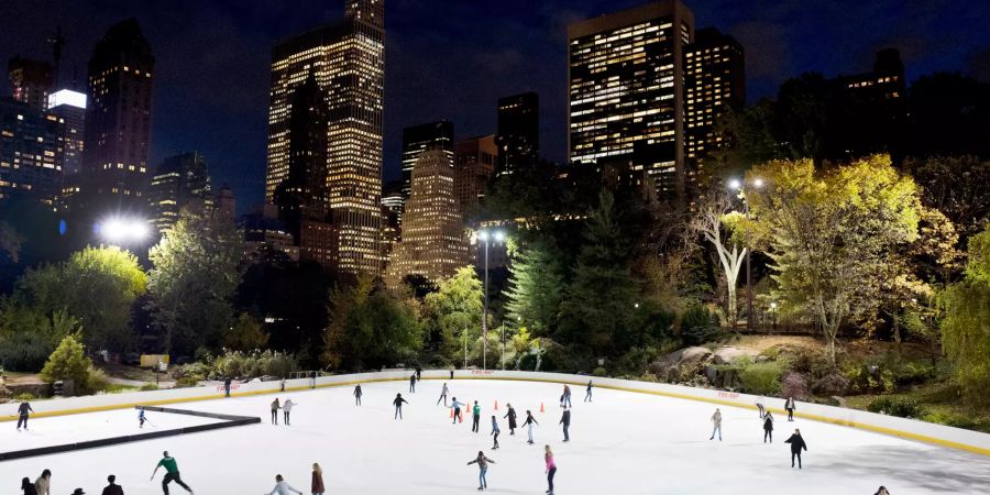 wollman rink new york