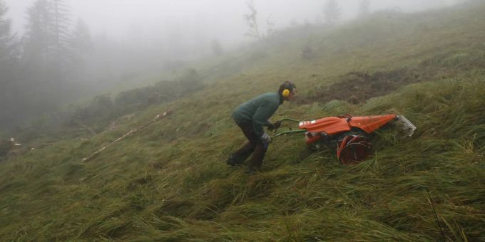 Ein Zivildienstleistender beim Naturschutz. (Symbolbild) Naturschutz im Flachmoor