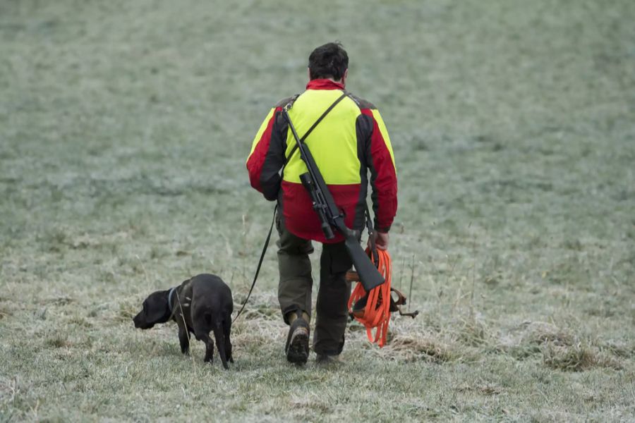 wildhüter hund fährte