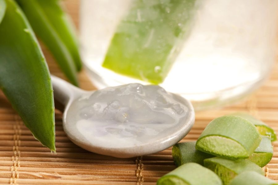 aloe vera, gel, pflanze