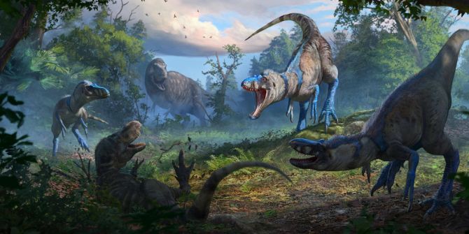 North Carolina State Museum of Natural Sciences