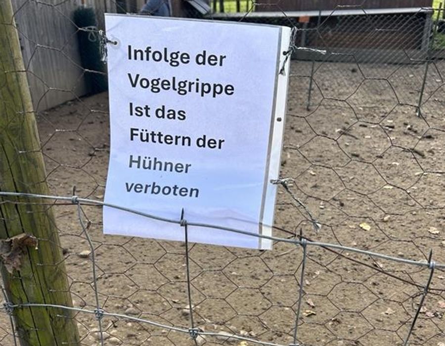 Vogelgrippe Bauernhof Hühner
