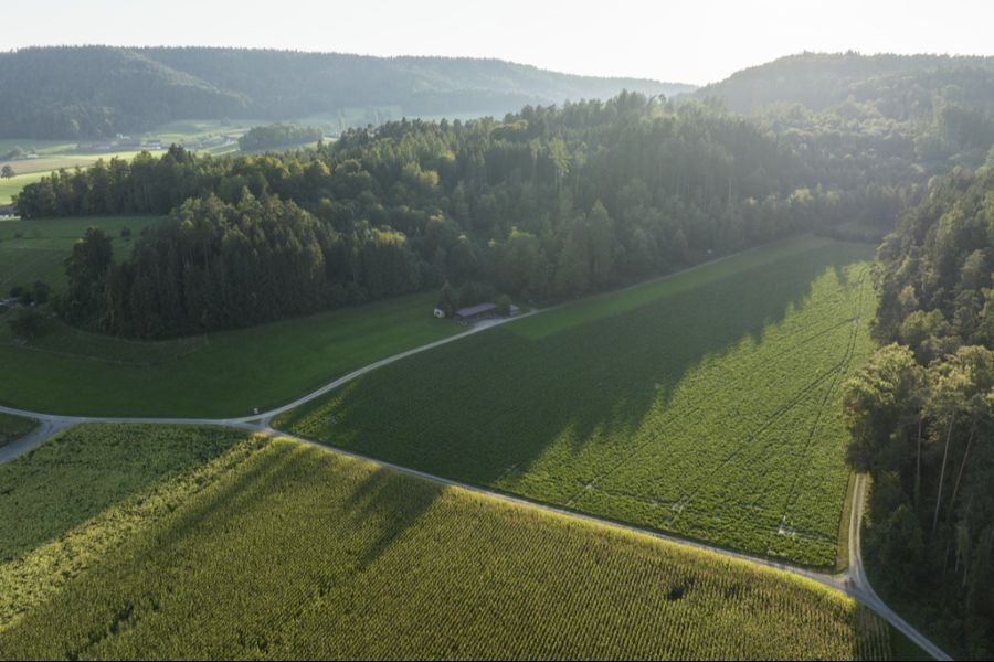 Denn: In seinem Kanton soll auf dem Gebiet Nördlich Lägern dereinst ein Tiefenlager für Atommüll entstehen.