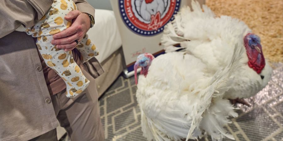 Trump Turkey Pardon