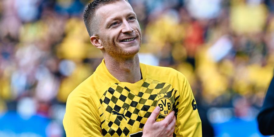 bvb