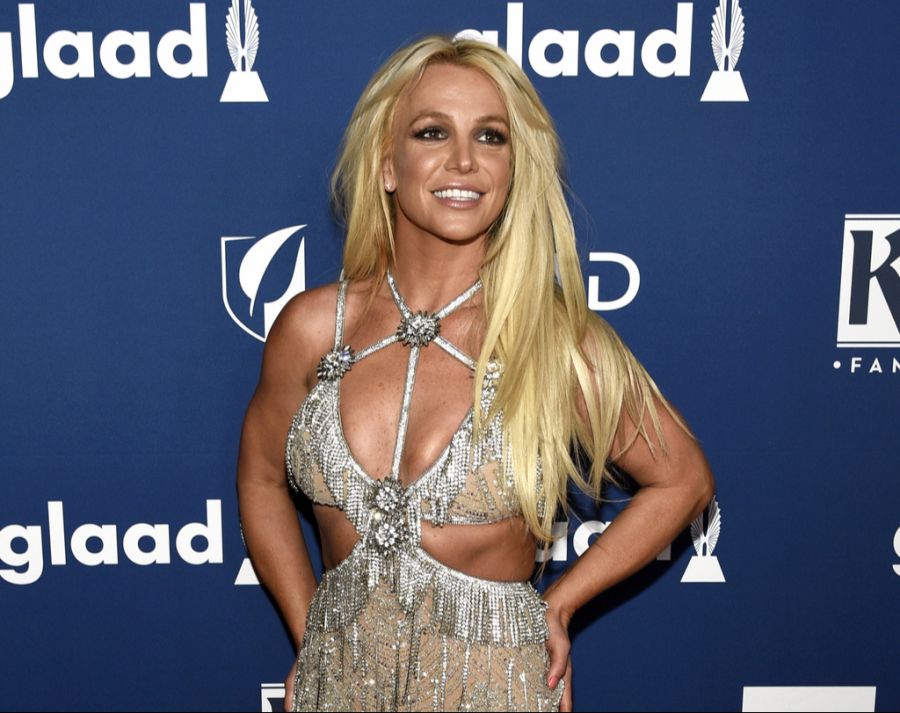 Marc Terenzi soll vor langer Zeit mal mit Britney Spears angebandelt haben.