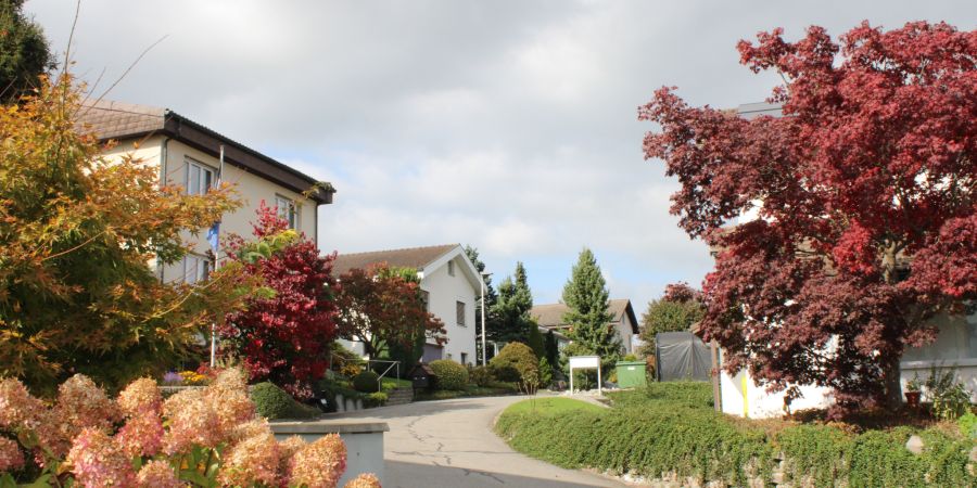 Quartier Schönfeld Strasse Häuser