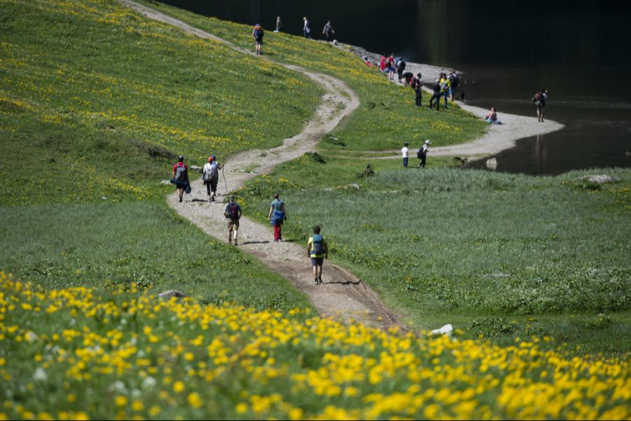 Die Gemeinden im Alpstein werden von Touristen und Autos überflutet.