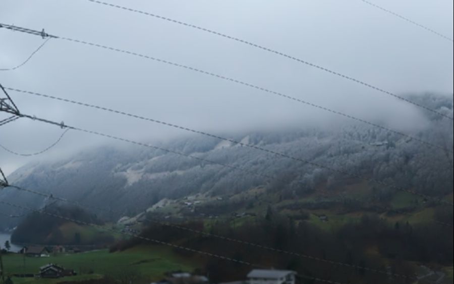 Fast so, als wären sie mit Puderzucker bestäubt: Die Bäume in Kaiserstuhl OW.