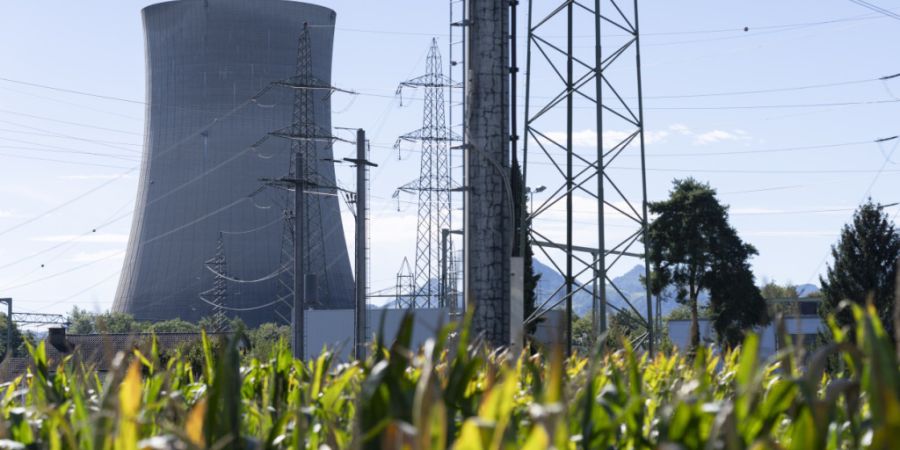 Die Anfahrverzögerung des Kernkraftwerks Gösgen dürfte das Ergebnis des Energiekonzerns Axpo bis voraussichtlich Februar 2026 belasten. Das AKW ist seit dem 24. Mai nicht mehr am Net...