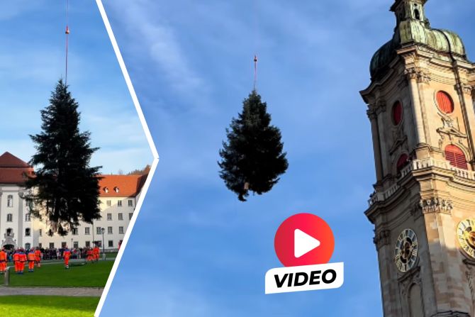 St. Galler Christbaum