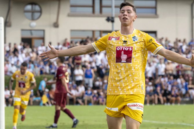 FC Luzern Schweizer Cup