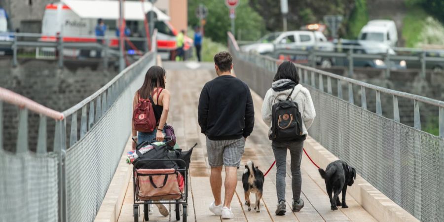 Maggiatal Passanten Brücke Hunde