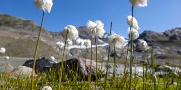 Bündner Tourismus