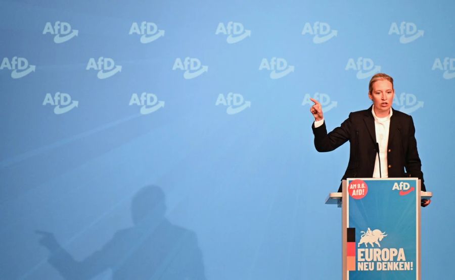 Diese scheinbare Anerkennung ergebe sich aus einer «diffusen Bewunderung der direkten Demokratie und der Erfolge der SVP» vonseiten der AfD, erklärt Politologe Claude Longchamp. (Symbolbild)