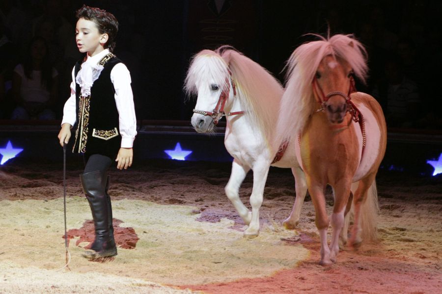 Ivan Knie am 24. August 2007 in der Manege. Damals war der heutige 25-Jährige gerade einmal sechs Jahre alt.