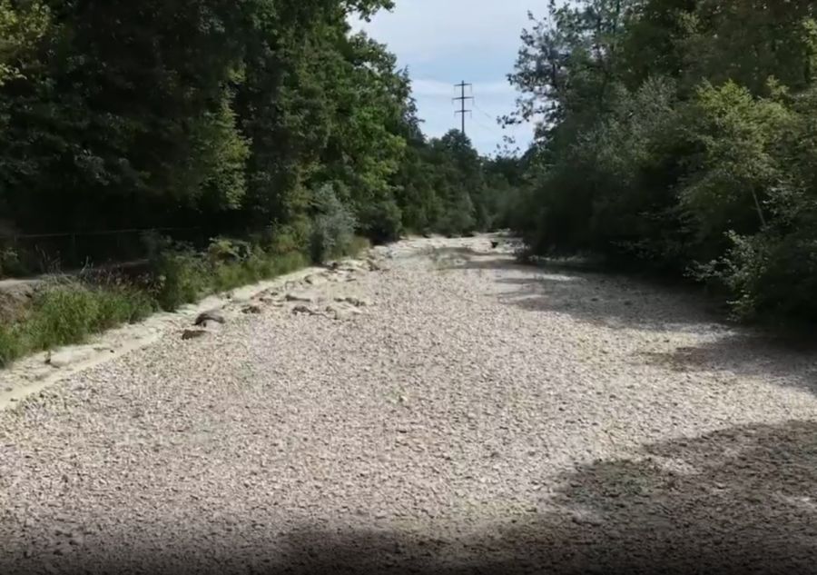 fischsterben