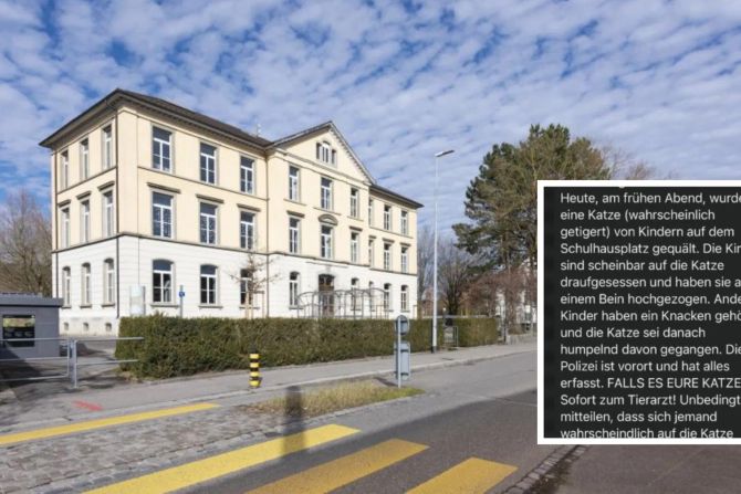Schulhaus Dohlenzelg Windisch