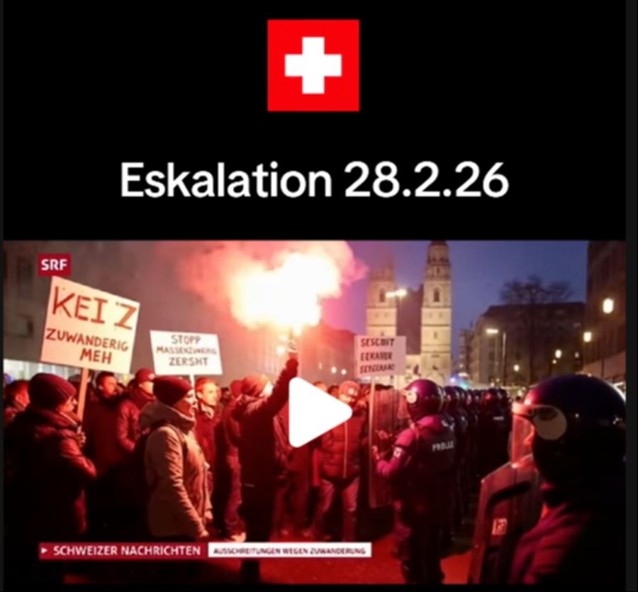 Das Video zeigt massive Ausschreitungen bei einer Demonstration – doch nichts davon ist echt.