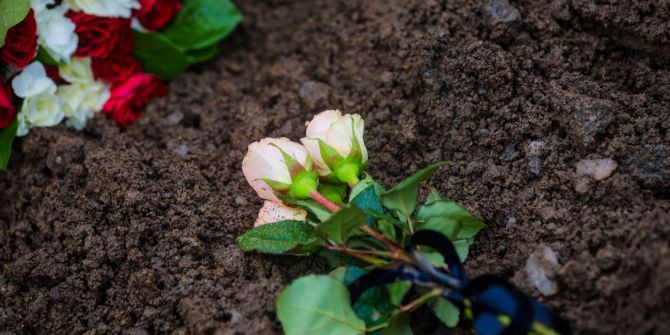 Blumen Grab Erde Friedhof
