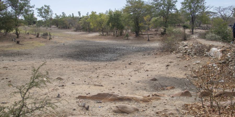 ARCHIV - Ein Mann geht an einem durch El Niño ausgetrockneten Bach in Simbabwe entlang. Foto: Aaron Ufumeli/AP/dpa/Archivbild