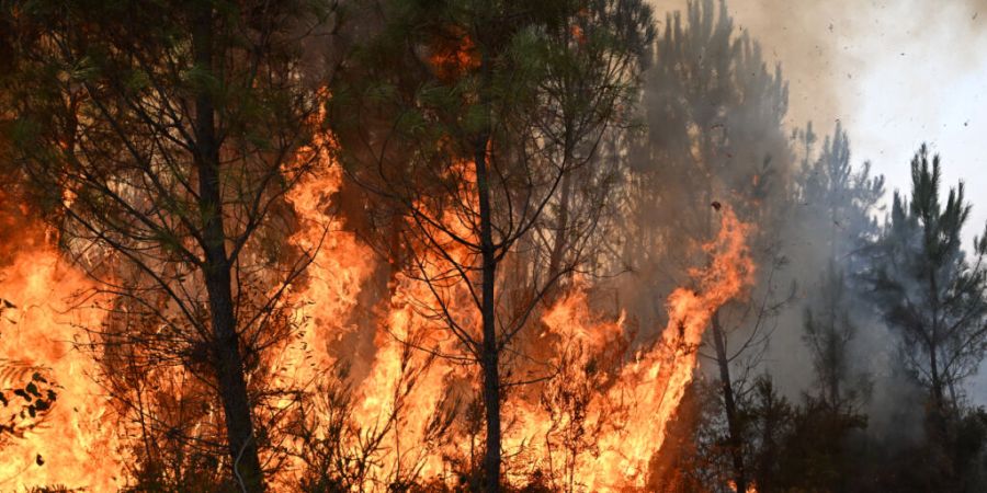 Flammen lodern zwischen den Bäumen während eines Waldbrandes im Südwesten Frankreichs. Foto: Emma Da Silva/AP/dpa