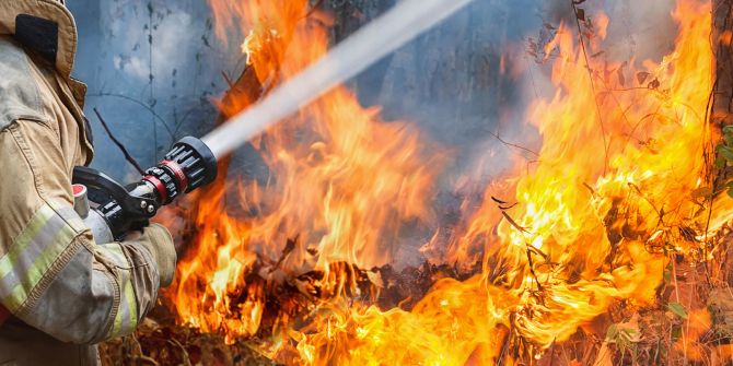Feuerwehr Waldbrand Feuer Löschen