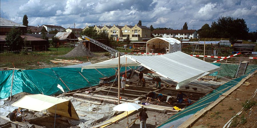 Arbon TG