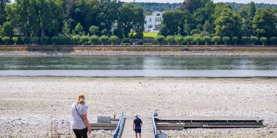 Rhein
