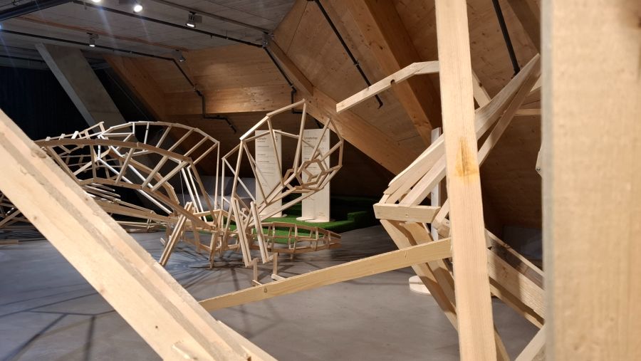 Umwelt Arena