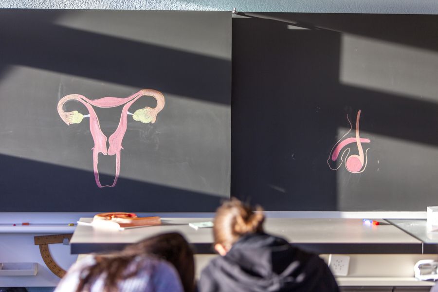 Die Jugendlichen mussten sexuelle Angebote, Vorlieben und inklusives Personal planen.