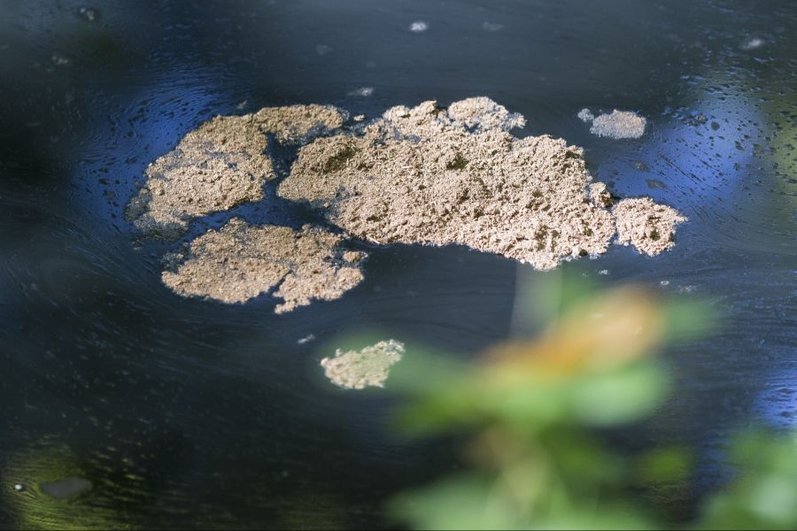 PFAS und andere Mikroverunreinigungen bauen sich nur sehr langsam ab.