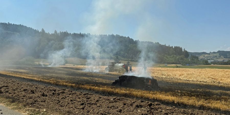 Flurbrand Dagmersellen