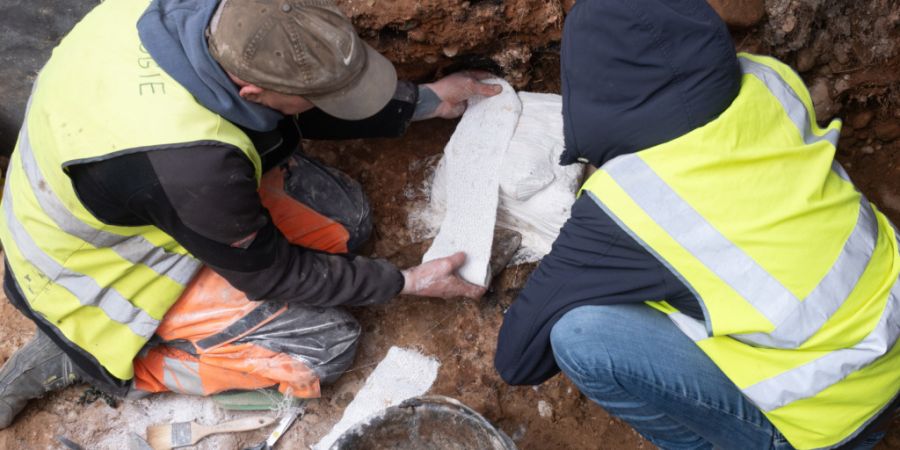 Beim Murus Gallicus auf dem Basler Münsterhügel kamen gut erhaltene Holzstücke zum Vorschein. Die Hoffnung besteht, dadurch das genaue Alter des Walls bestimmen zu können.