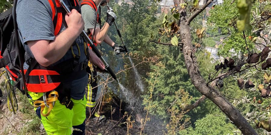 Flurbrand Ennetbaden Lägerngrat