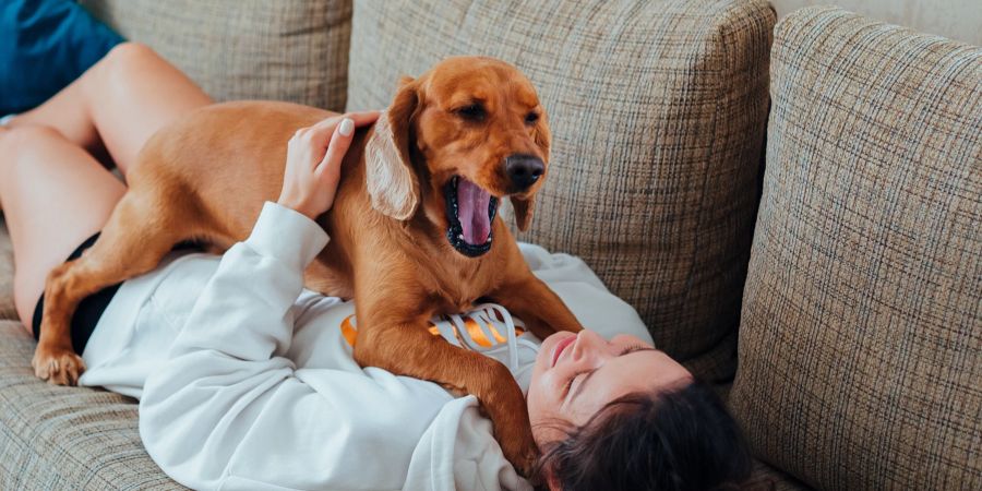 Gähnender Hund mit Frau auf Sofa