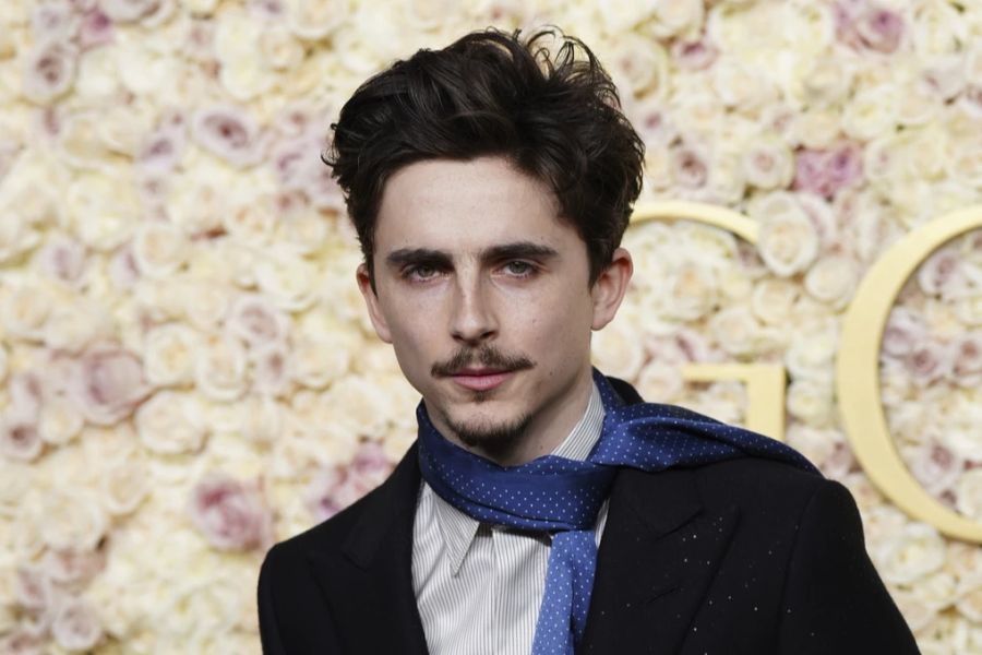 Hollywood-Star Timothée Chalamet aus «A Complete Unknown» und «Dune: Part Two» ...