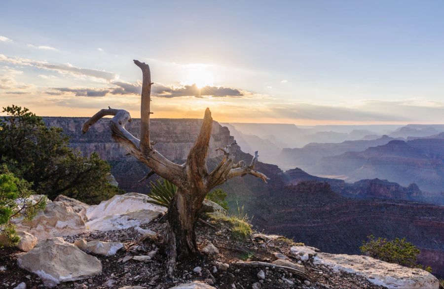 Grand Canyon