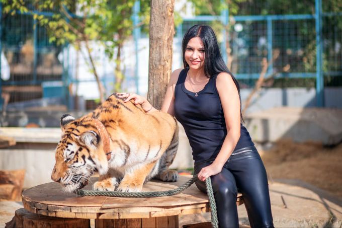 Um eine Attraktion für Touristen zu schaffen, werden viele Tiere unter katastrophalen, unwürdigen Bedingungen gehalten. Touristin posiert mit Tiger