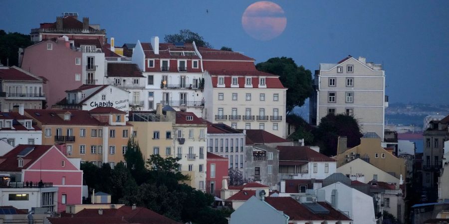 Die Erdstösse waren allem in der Hauptstadt Lissabon deutlich zu spüren. (Archivbild)